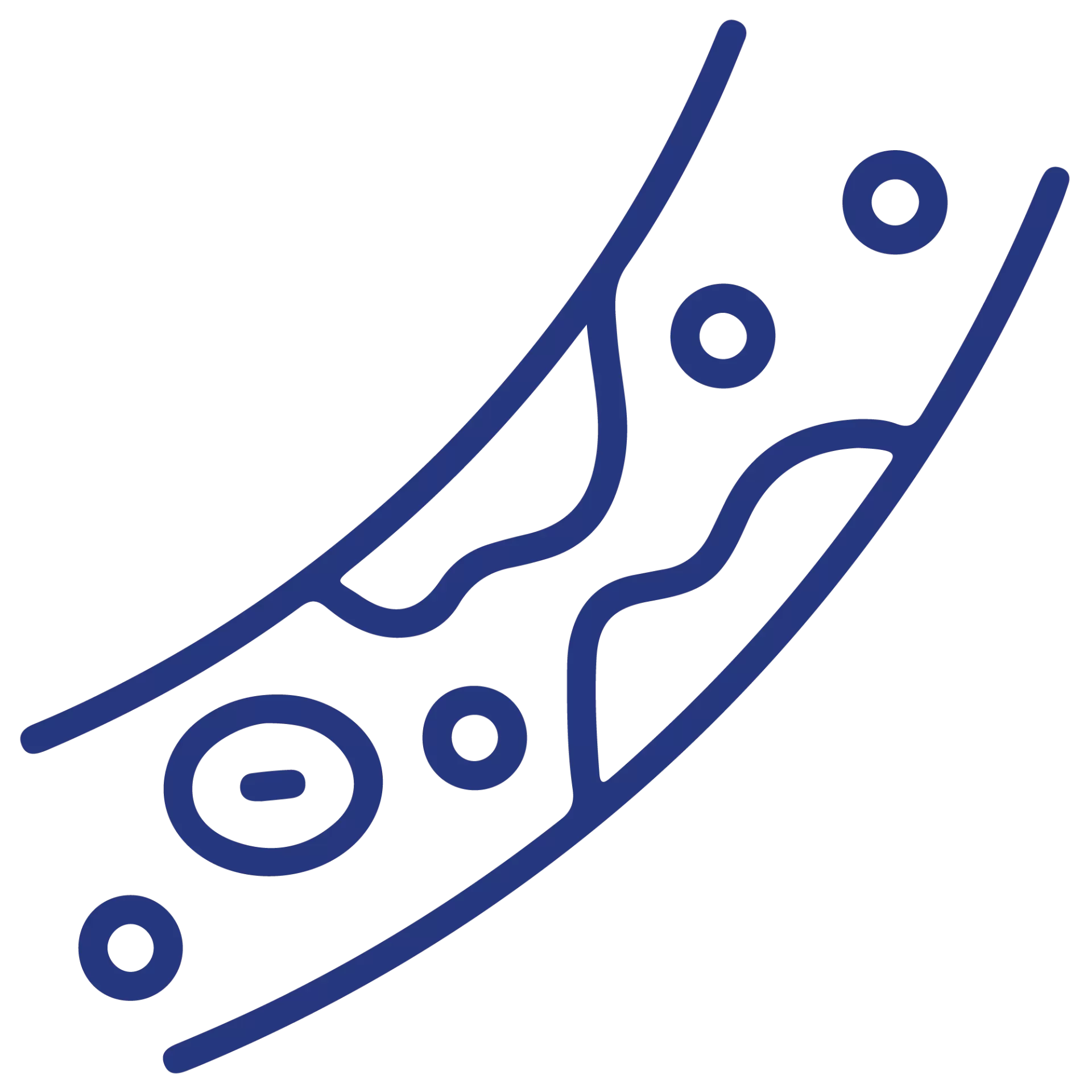 Arterial Circulation Test ABI